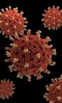 Does Rudolf Steiner Believe in Viruses?